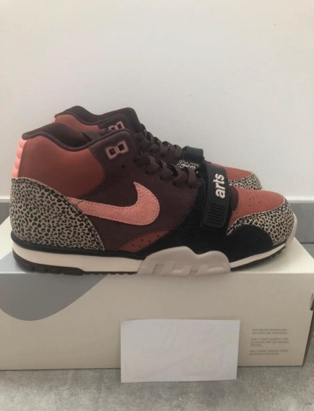 Nike sb air trainer 1