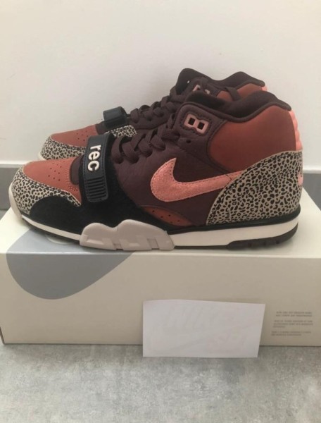 Nike sb air trainer 1