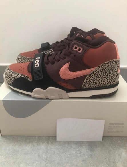 Nike sb air trainer 1