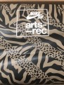 Nike sb air trainer 1