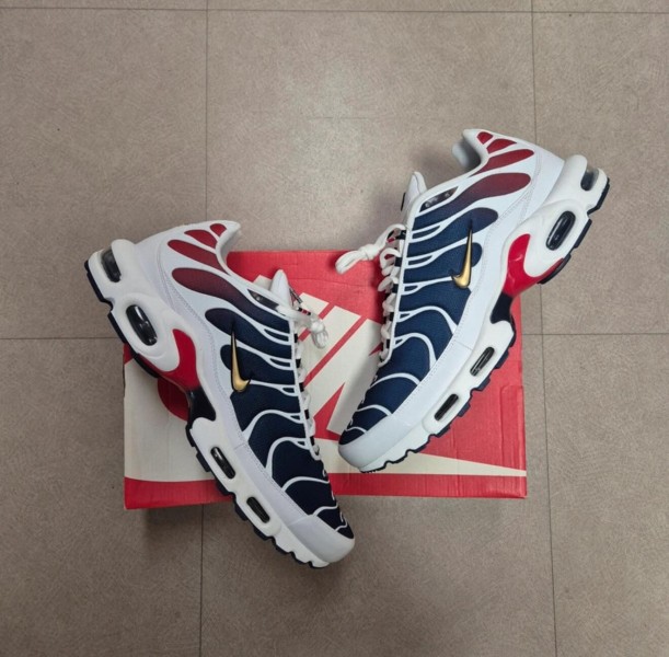 Air Max Plus "PSG"