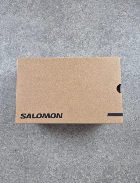 Salomon ACS Pro Metal Phantom taille 43 1/3