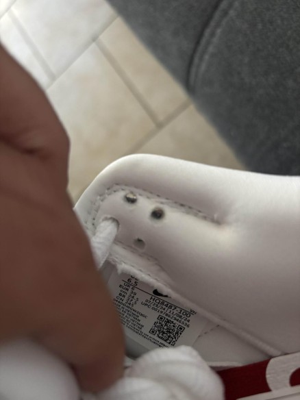 Dunk sb suprême White
