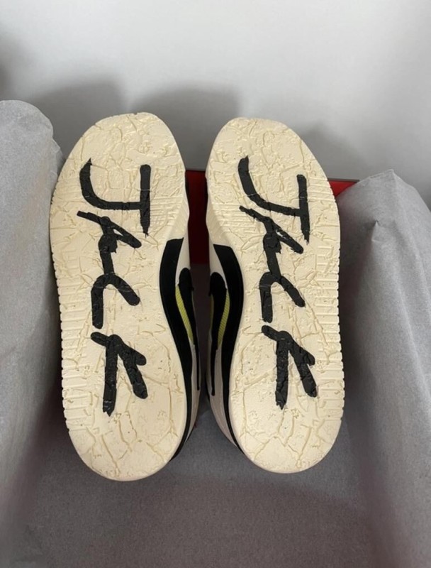 Nike Jumpman Jack Travis Scott Cactus 2