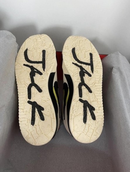 Nike Jumpman Jack Travis Scott Cactus