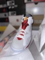 Jordan 6 Hare
