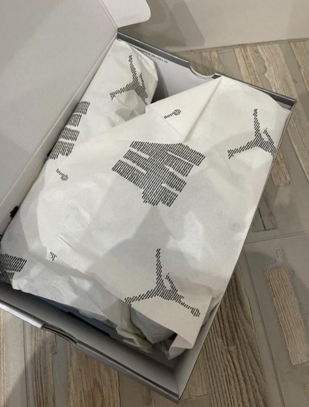 Air Jordan 4 Undefeated 2025 2