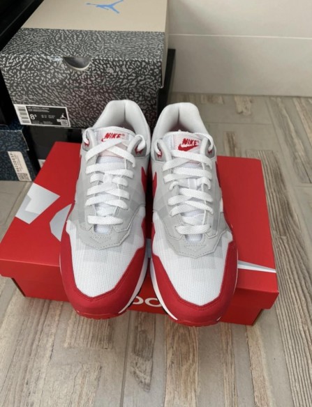 Nike Air Max 1 Poly