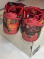 Nike SB Dunk Low Le Magicien d'OZ champ de coquelicot
