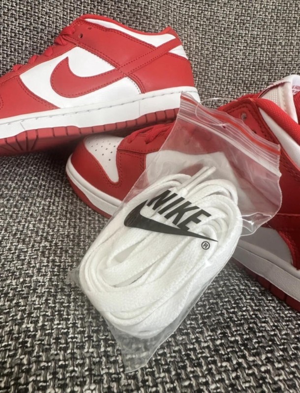 Nike dunk low 2