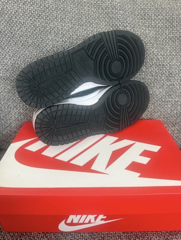 Nike dunk low 2
