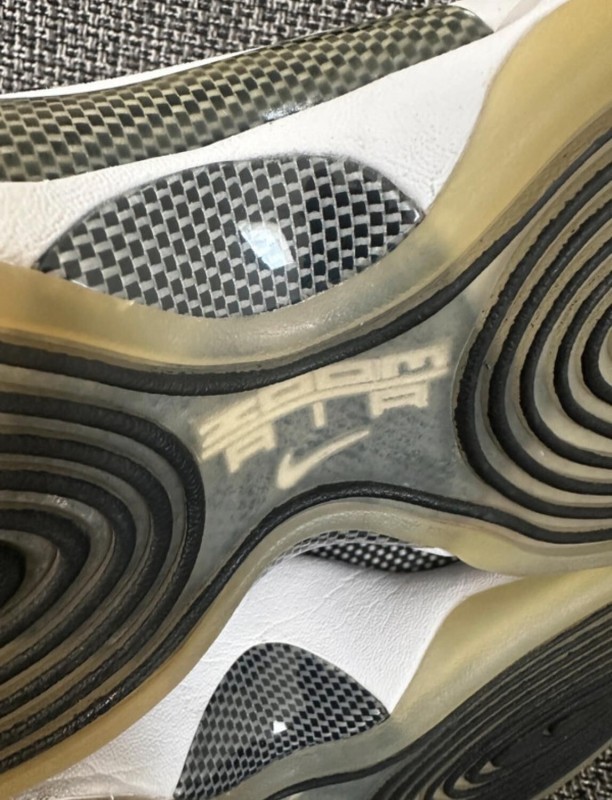 Nike air zoom flight 96 2