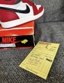 Nike Air Jordan 1 chicago