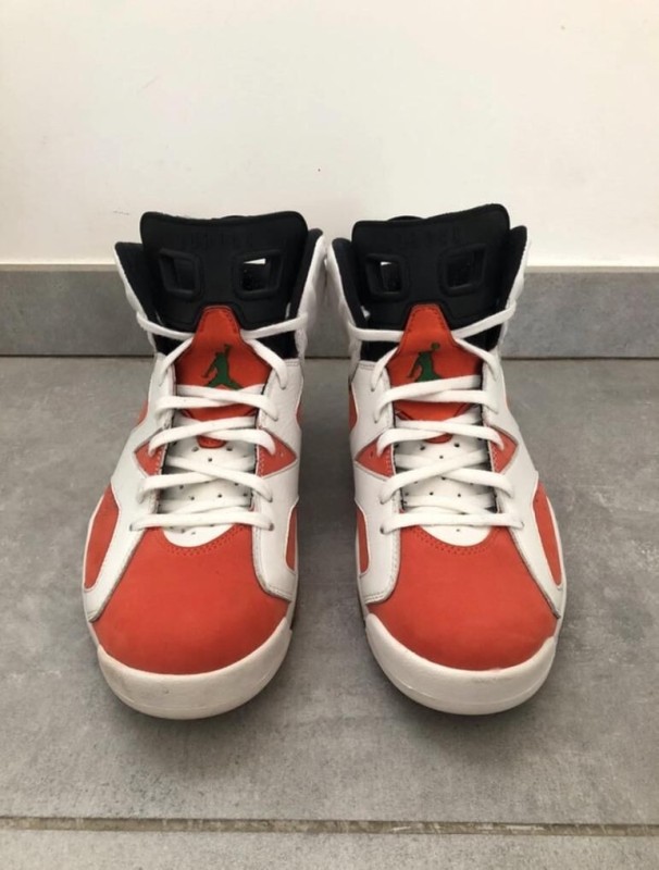 Nike Air Jordan 6 gatorade 2