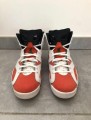 Nike Air Jordan 6 gatorade