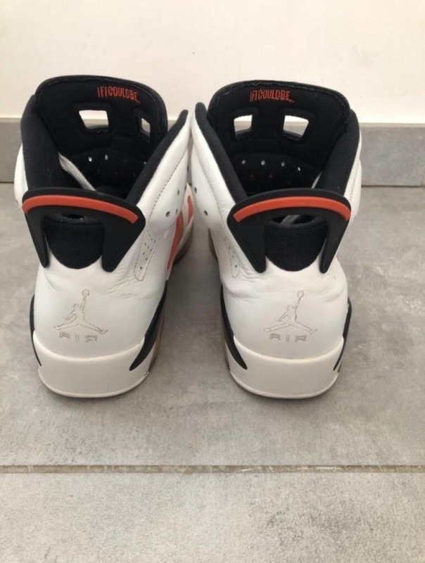Nike Air Jordan 6 gatorade 2