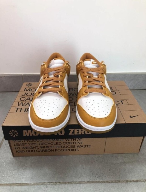 Nike dunk low 2