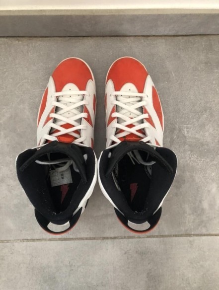 Nike Air Jordan 6 gatorade