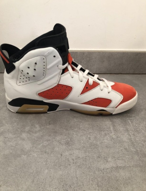 Nike Air Jordan 6 gatorade 2