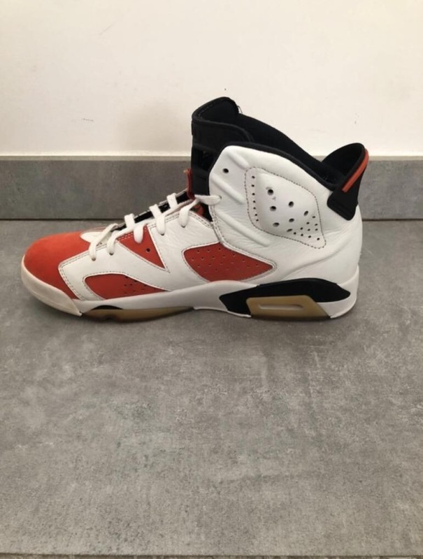 Nike Air Jordan 6 gatorade 2