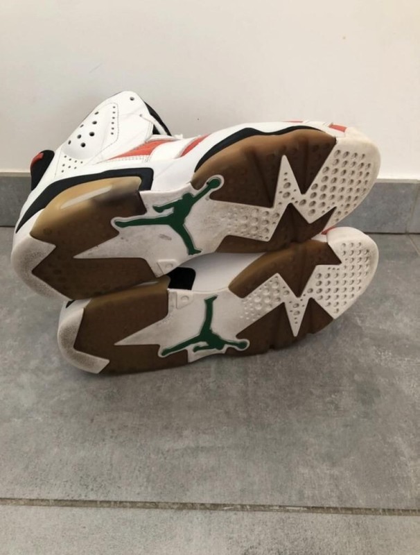 Nike Air Jordan 6 gatorade 2