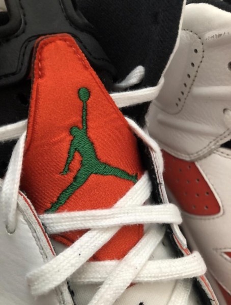Nike Air Jordan 6 gatorade