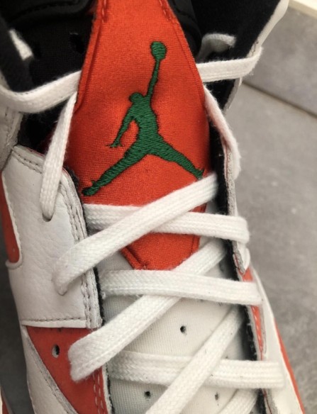 Nike Air Jordan 6 gatorade