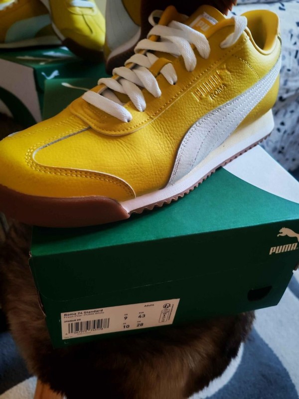 PUMA ROMA 24 2