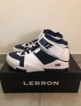 Nike air zoom Lebron 2
