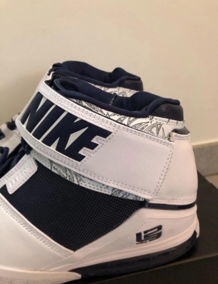 Nike air zoom Lebron 2