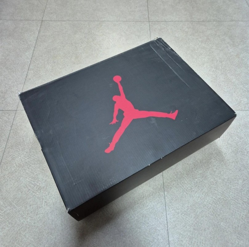 Jordan 6 "Carmine" 2