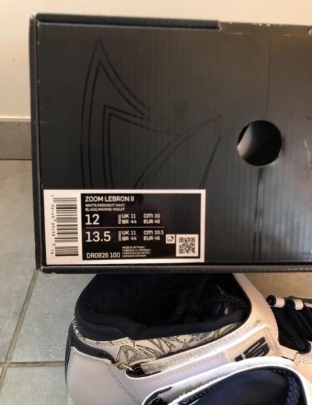 Nike air zoom Lebron 2