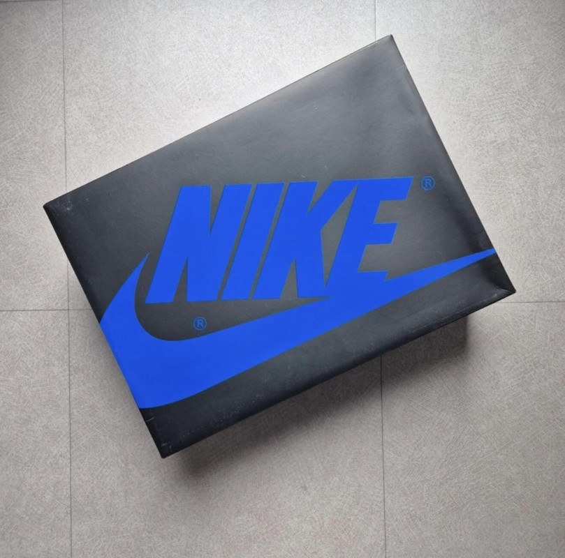 Jordan 1 "Royal" Reimagined 2