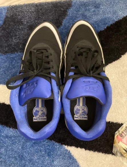 Nike Air Max BW Persian Taille 42 (2021)