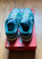 Nike dunk low SE 85 neptune green (w)