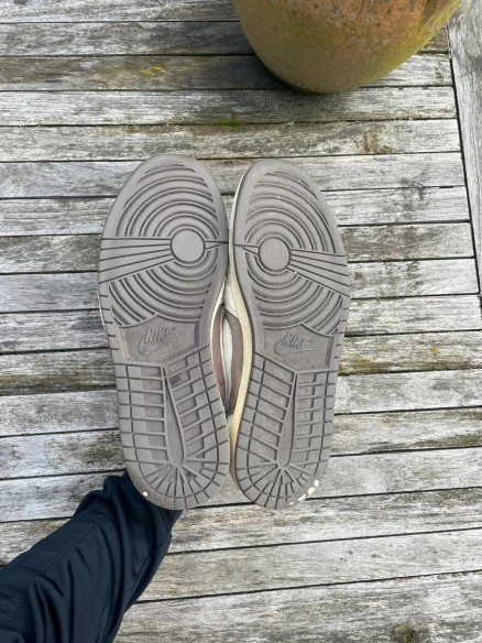 Travis Scott Jordan 1 Low reverse Mocha