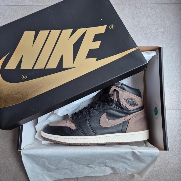 Jordan 1 High "Palomino"