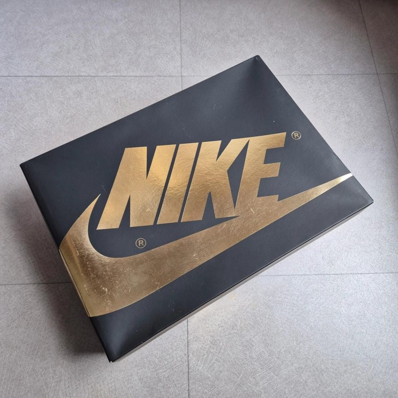 Jordan 1 High "Palomino" 2
