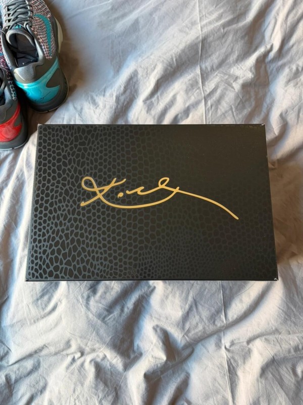 Nike Kobe VI Protro 3D Hollywood 2