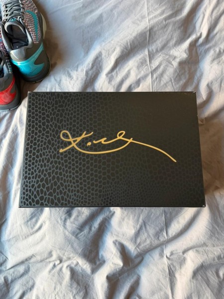 Nike Kobe VI Protro 3D Hollywood