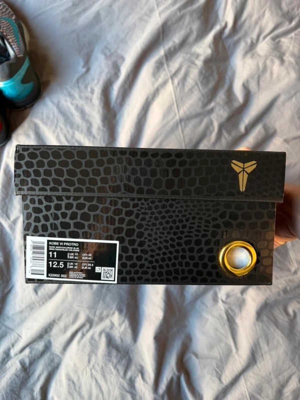 Nike Kobe VI Protro 3D Hollywood 2