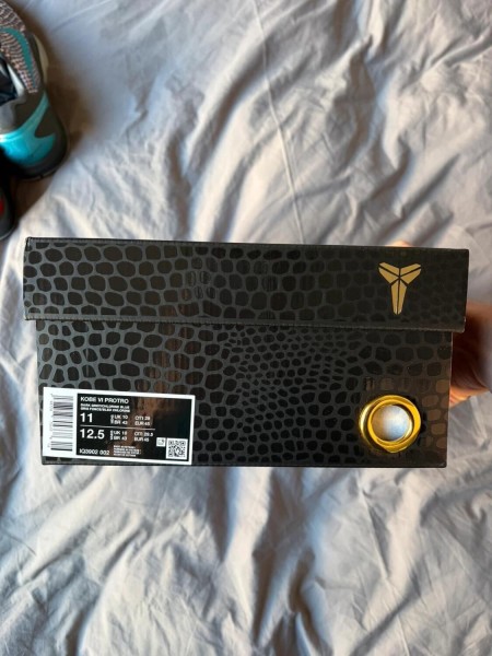 Nike Kobe VI Protro 3D Hollywood