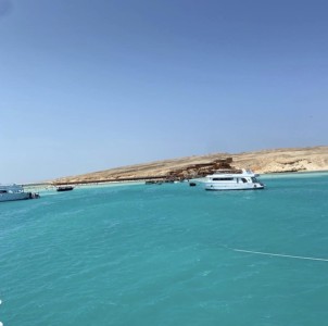 ryad29181